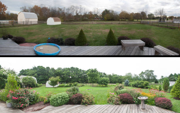 Transformation showing the Before and After of Landscaping with Trees and Flowers in a Suburban Backyard.